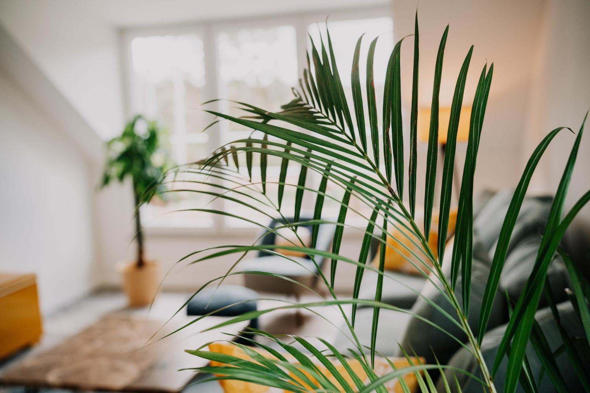 Grosszuegiges, Stylisches Apartment I 8 Personen I Eifel I Naturliebhaber I Metterich Luaran gambar